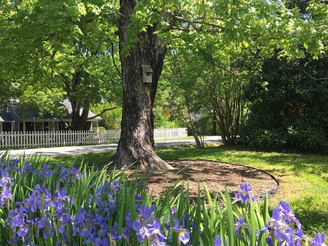 Building Photo - Stunning, renovated 7br home in the heart ...