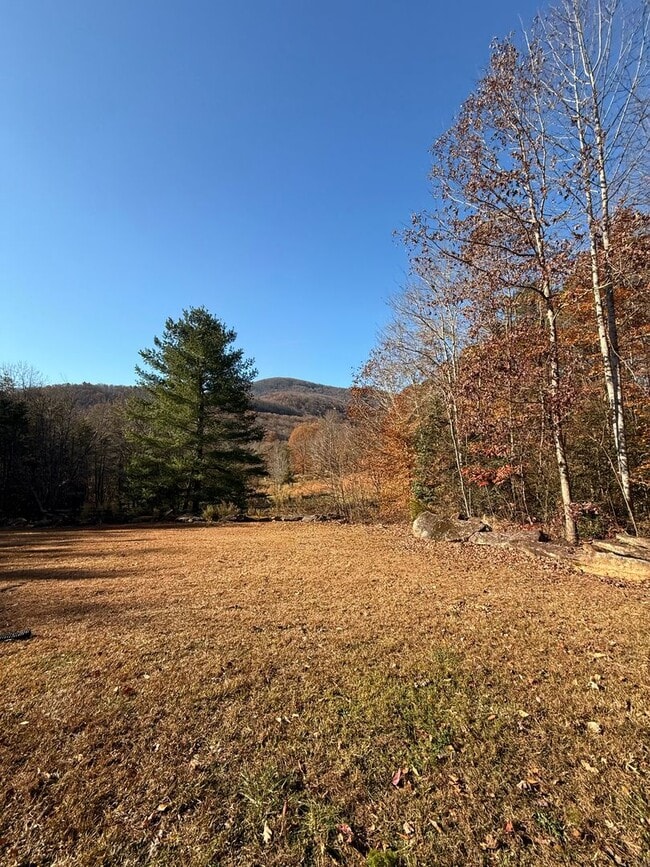 Building Photo - Beautiful Mountain Home near Cleveland