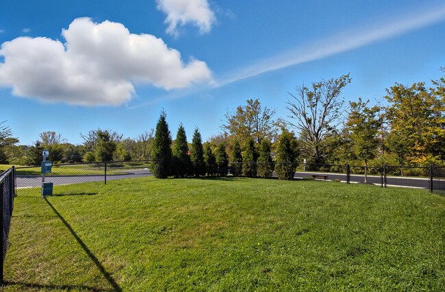 Building Photo - 285 Allium Ln
