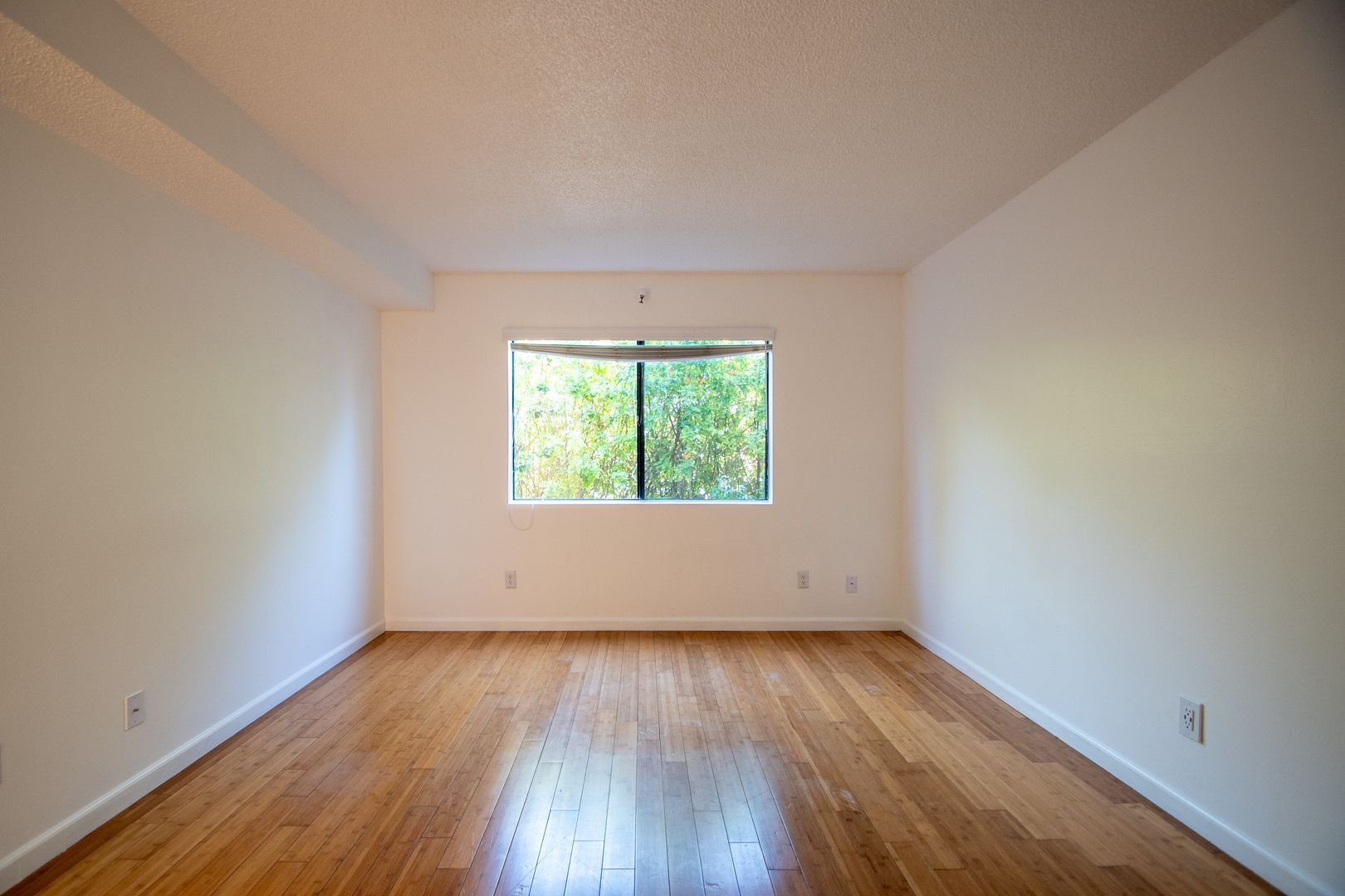 Building Photo - 12338 Oxnard St