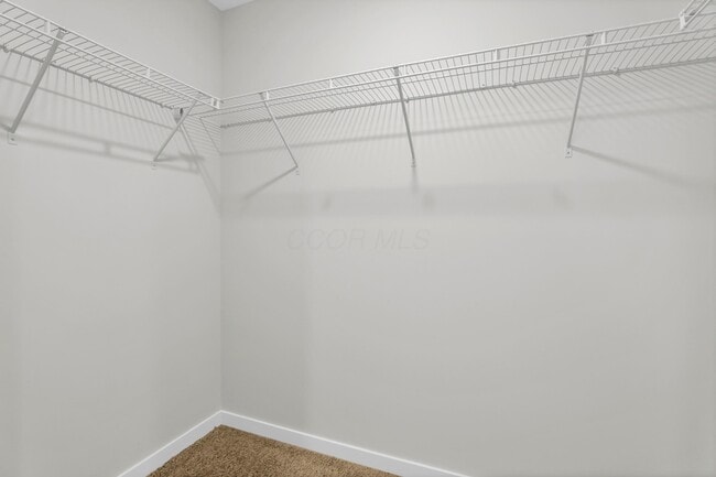 Building Photo - 6302 Marinelli Dr N