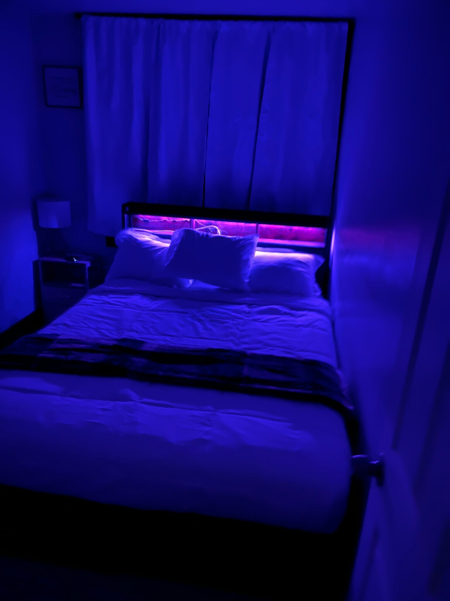 Building Photo - 212 Smith St