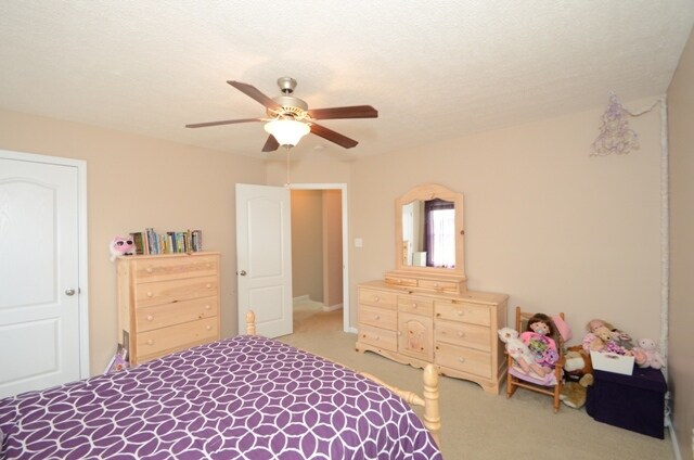 Building Photo - 309 S Brandon Way