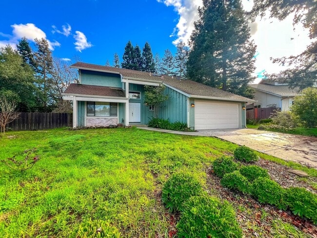 Building Photo - Charming 4 Bedroom Browns Valley Napa Home