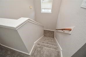 Building Photo - 303 Mantova Dr