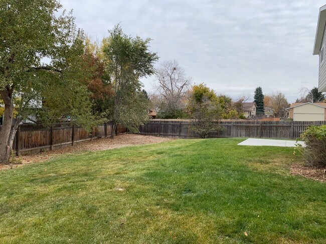 Building Photo - Spacious West-Side Tri-Level Home