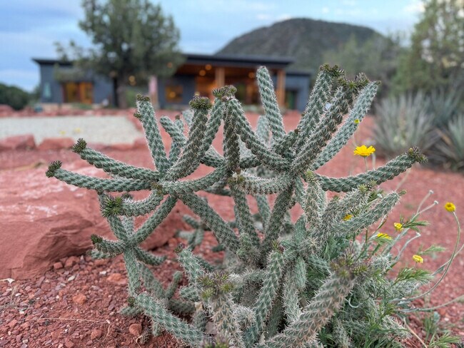 Building Photo - 105 Rojo Dr