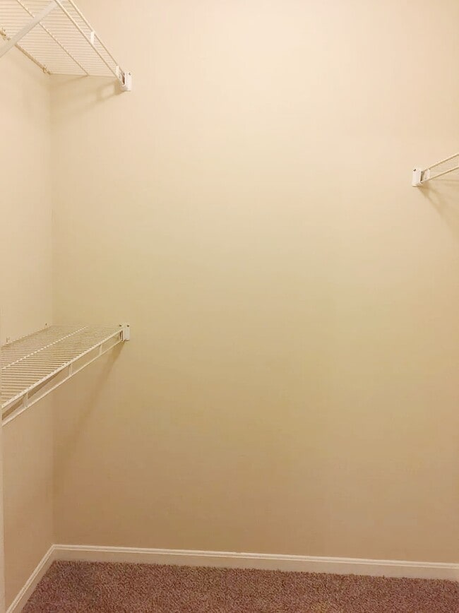 Building Photo - 2317 Vicente Ct