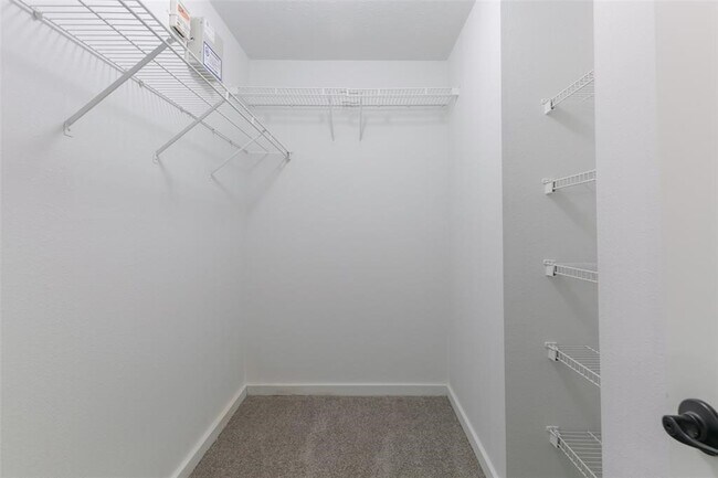 Building Photo - 16711 Hollow Ridge Dr