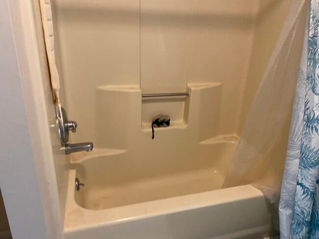 Shower/tub - 135 Courtyard Ln