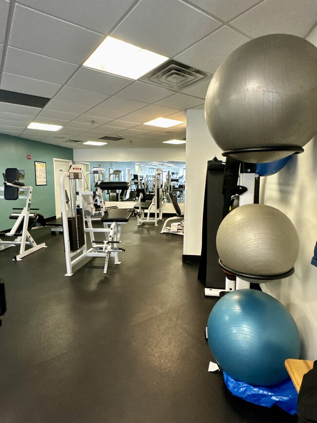 State of Art Gym - 100 Old Palisade Rd