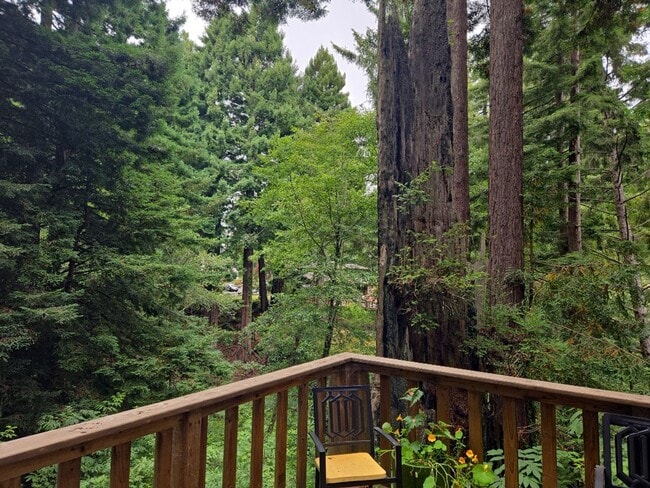 Building Photo - Pet Friendly! Redwood views! 3-bedroom hom...
