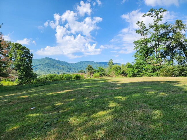 Building Photo - Large Black Mountain Rental