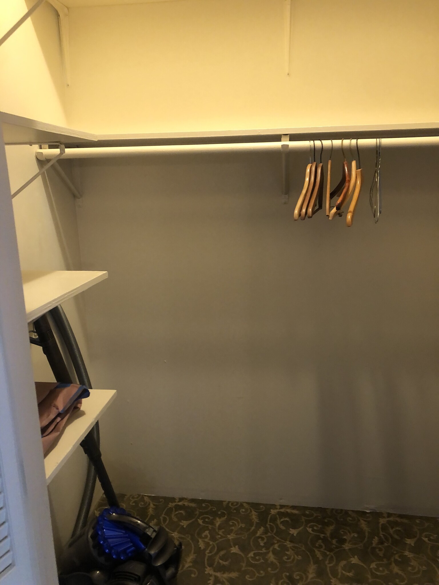 Downstairs closet - 3018 Motor Ave