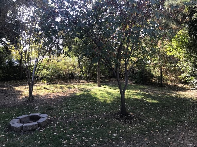 Building Photo - 1059 La Mesa Dr