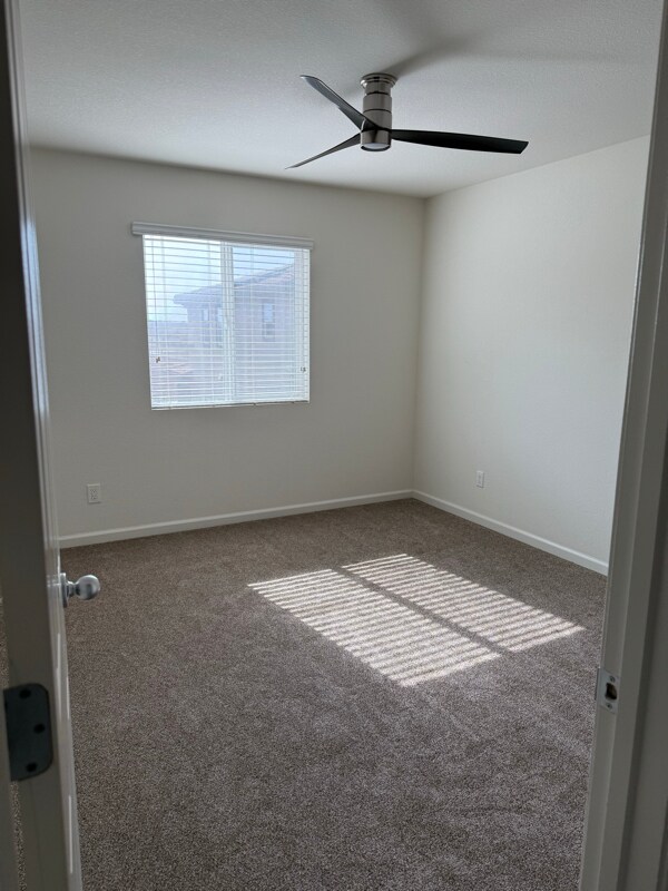 Building Photo - 4312 Ibiza Island Way