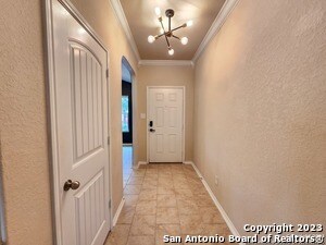 Building Photo - 1616 Tree Run