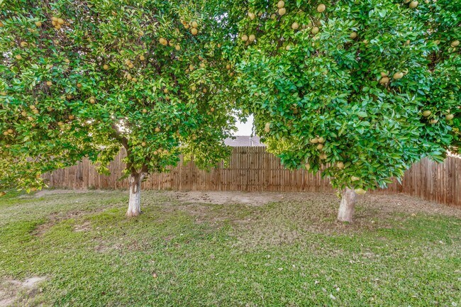Building Photo - Charming Updated 3 Bed/2 Bath Home in North Central Phoenix