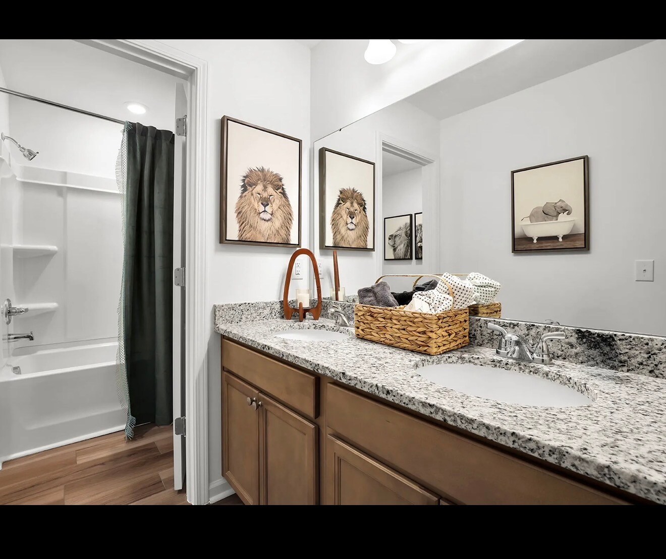 Upstairs bathroom - 258 Ridley Hill Ln
