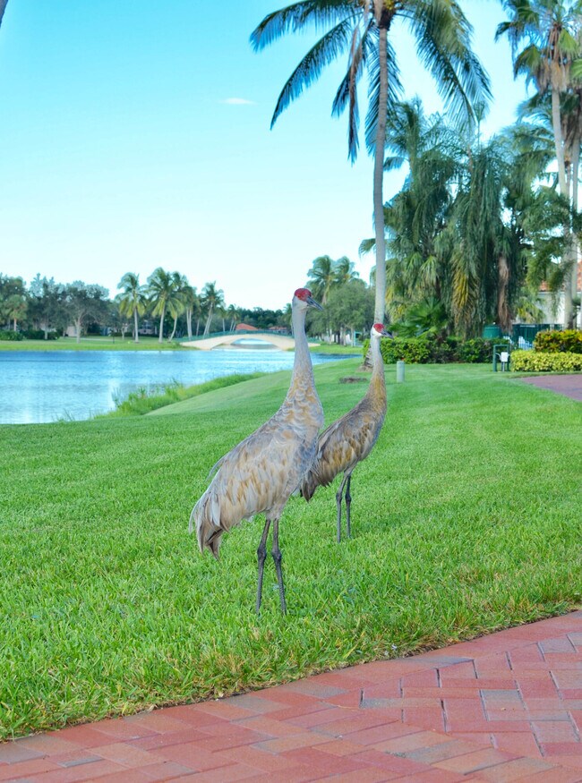 Building Photo - 7701 Pine Island Way