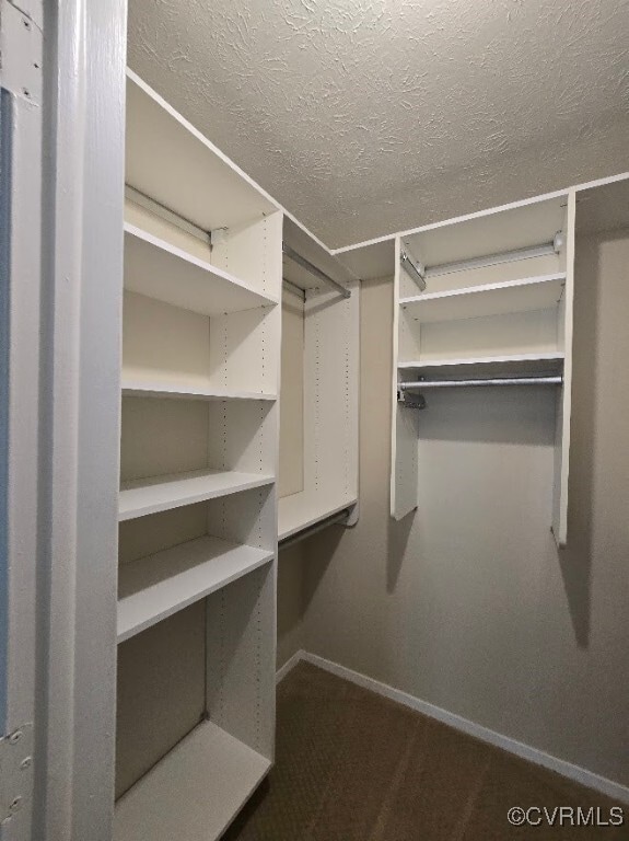 Building Photo - 1503 Regency Woods Rd