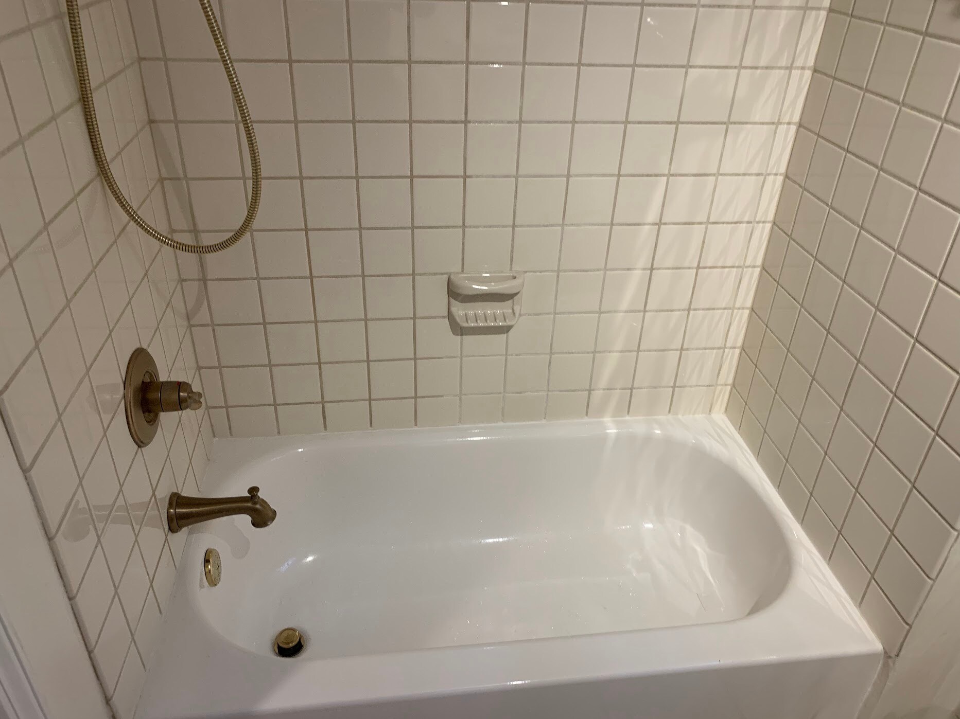 Bathtub/Shower (Bright Bathroom) - 2761 Cocklebur Rd
