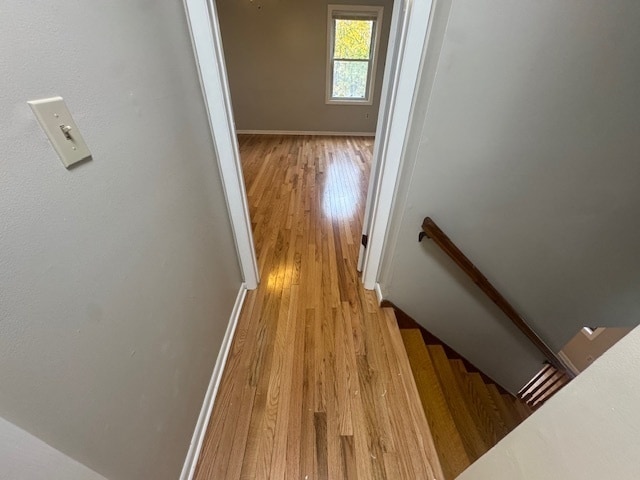 Building Photo - 26 Albertson Rd