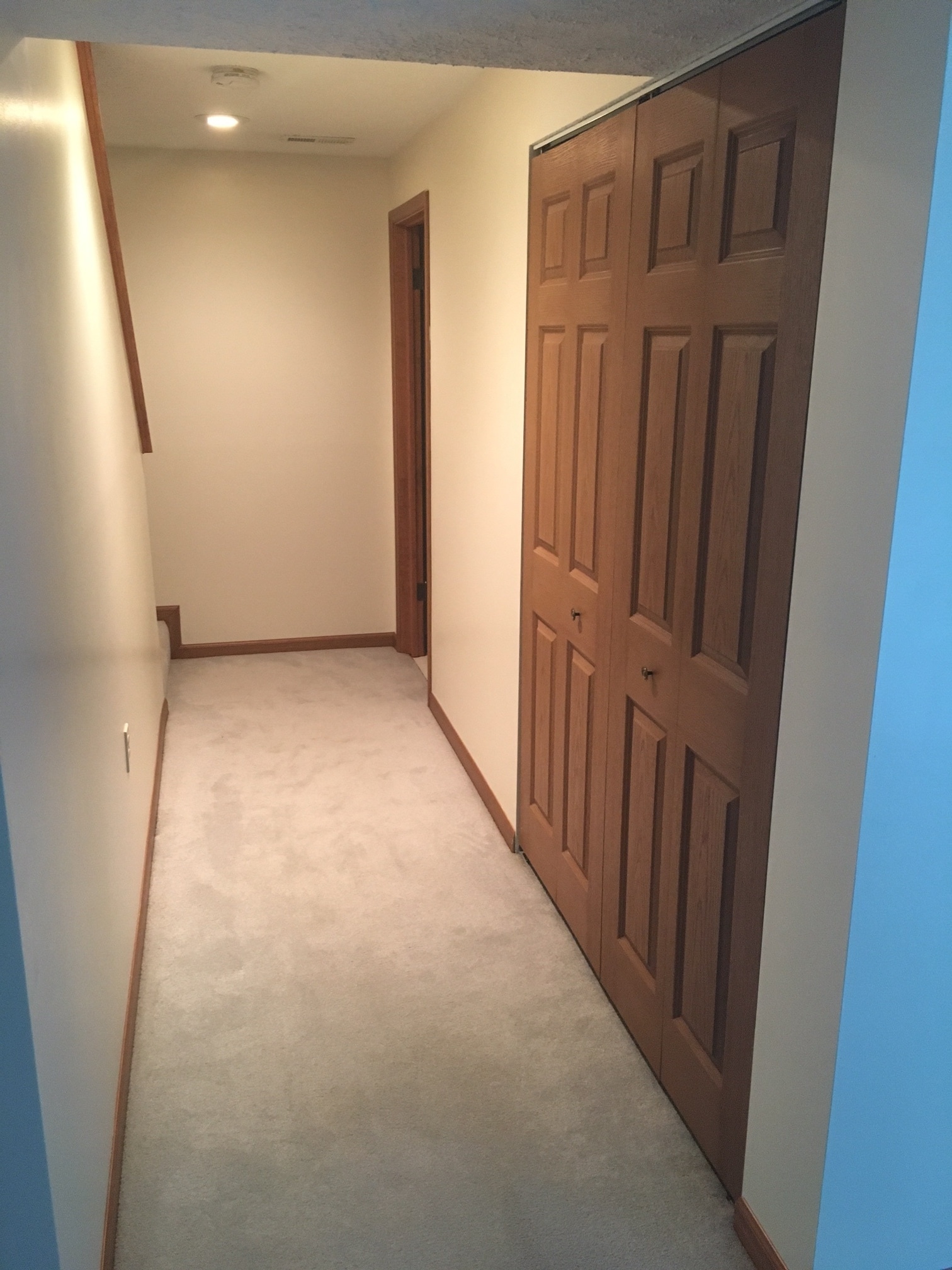 Basement - 115 Villa Dr