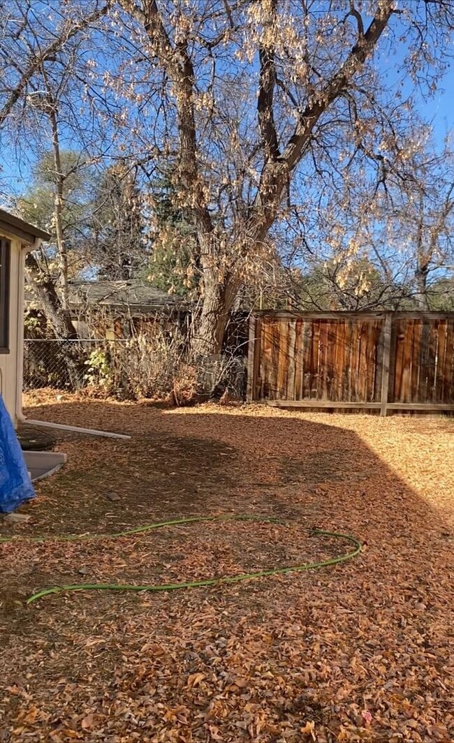 Building Photo - STUDENTS WELCOME! Spacious 3-Bedroom / 1-Bath Duplex w/ Fenced Backyard