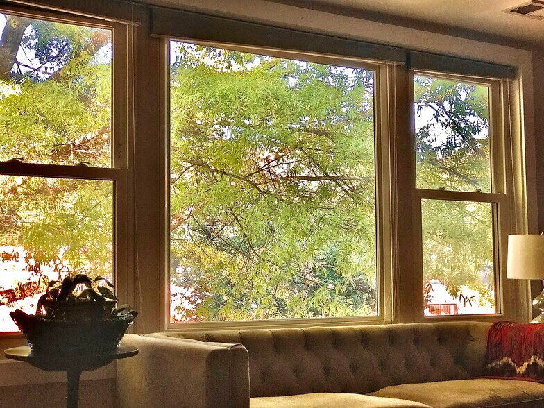 Look out at tree canopy - 4840 MacArthur Blvd NW