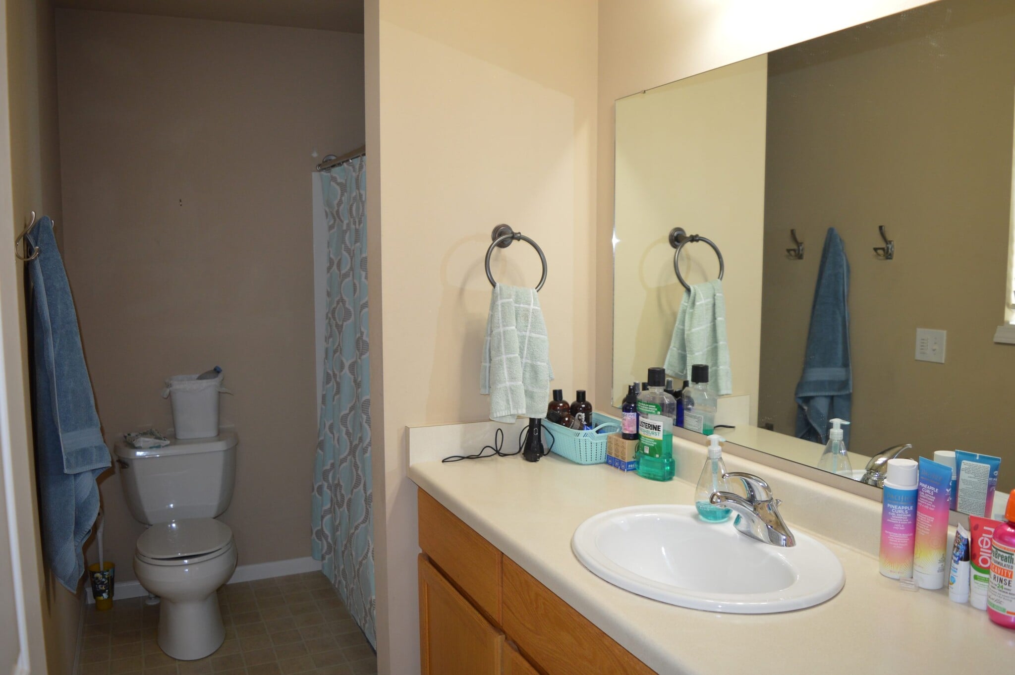 Building Photo - 8917 Snowberry Ln