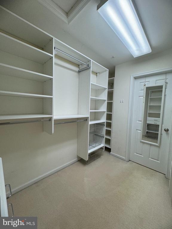 Building Photo - 11433 Hollowstone Dr