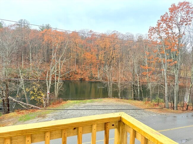 Building Photo - 50 Chapel St