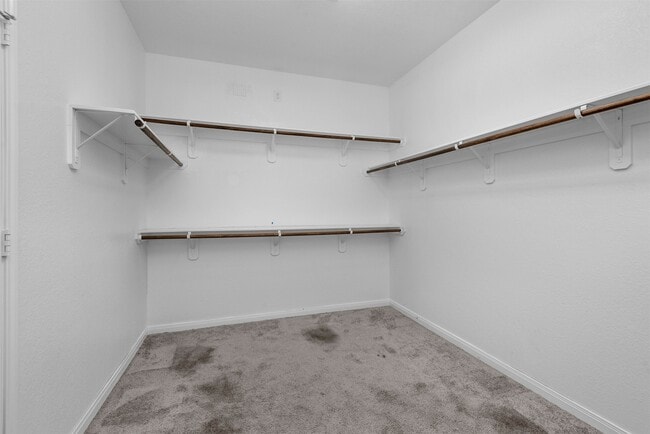 Building Photo - 15706 Summer Maple Trl