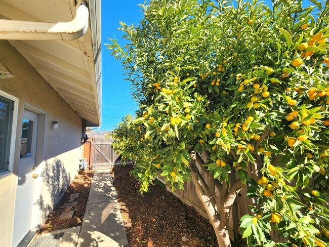 Building Photo - Charming Single Family Home Located in Sou...