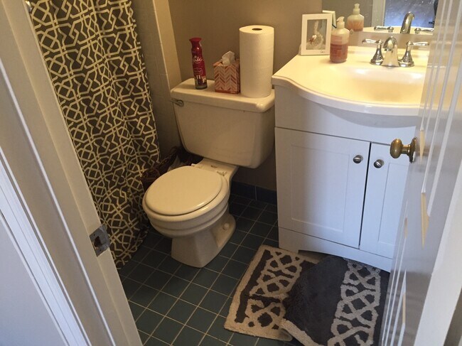 Third Floor Full Bath - 1216 Michigan Ct