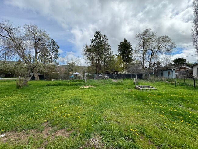 Building Photo - 3 bed 1 bath house with large yard/garden area
