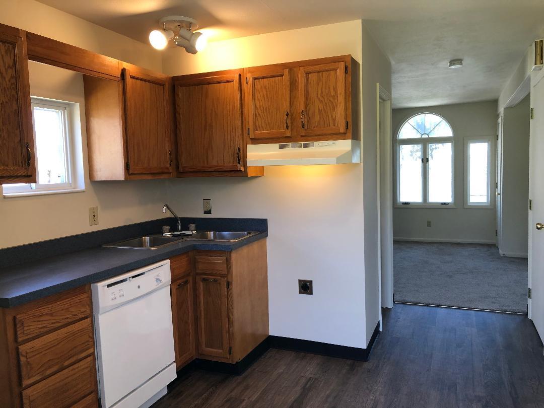Kitchen - 435 Highfield Ave
