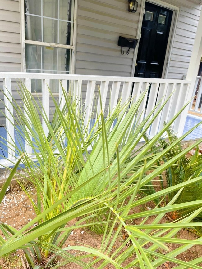 Building Photo - 2327 Gardner St