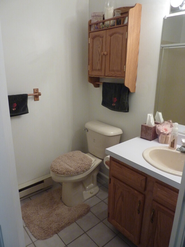 Downstairs full bathroom (shower) - 1413 Loop Road