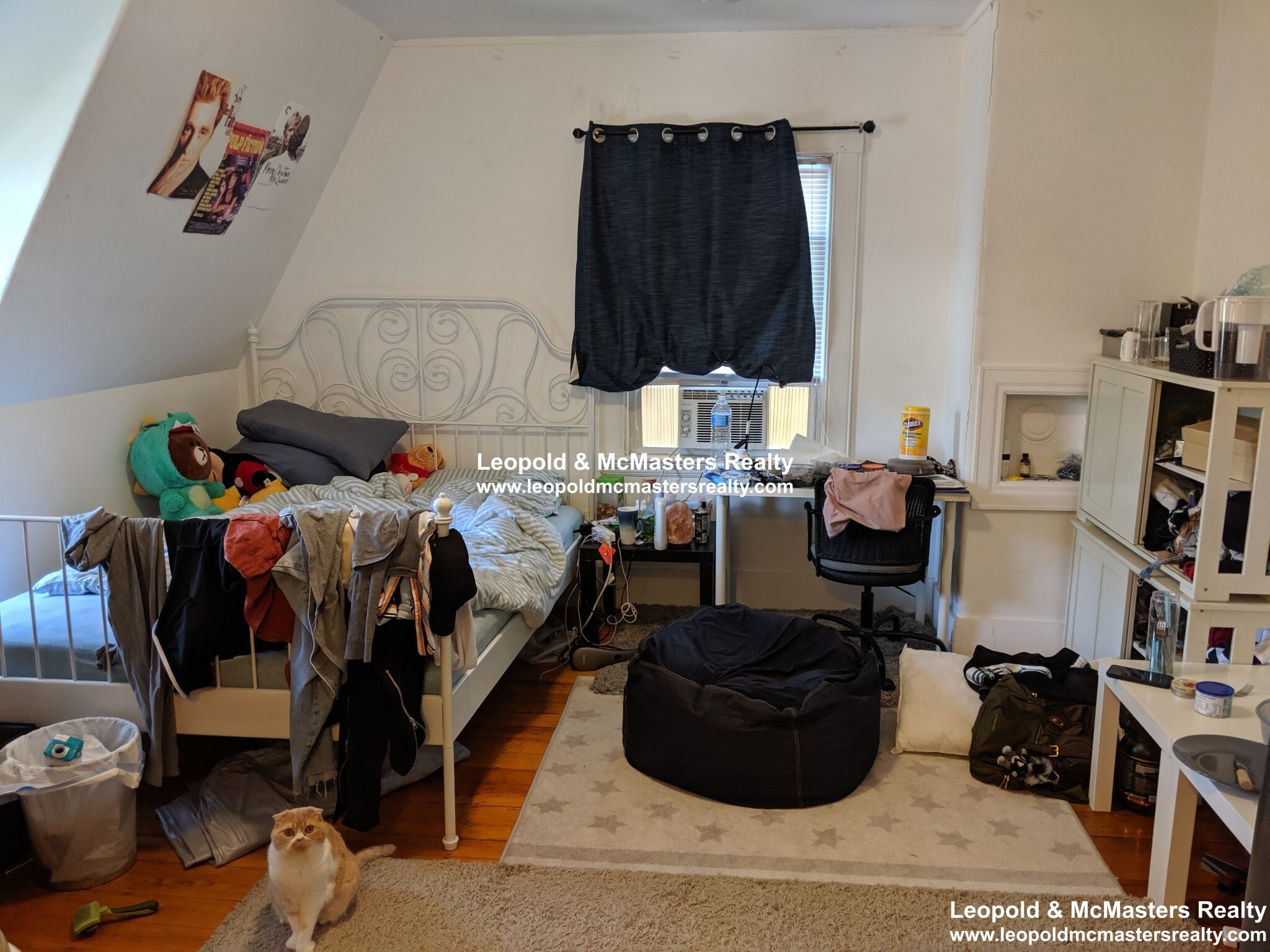 Building Photo - 19 Braemore Rd