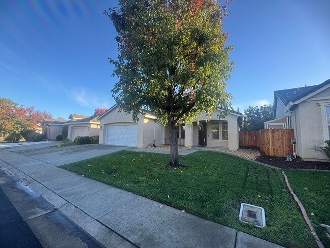 Building Photo - Spacious 4 Bedroom Home in Elk Grove