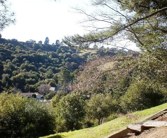 Building Photo - 105 Ascot Ct