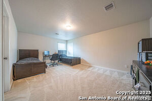 Building Photo - 137 Springtree Shadow