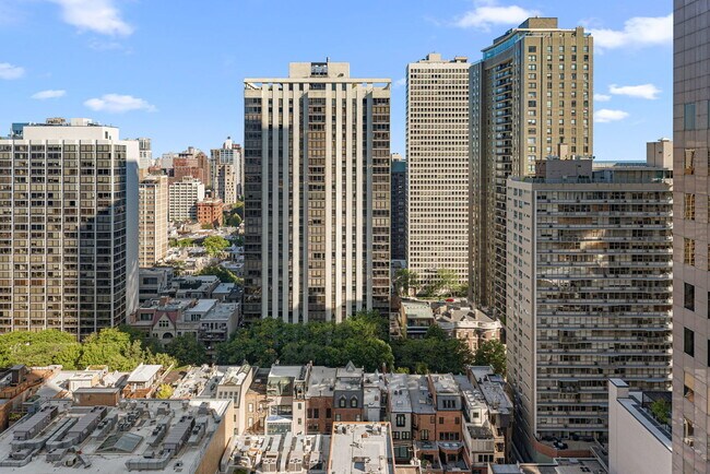 Building Photo - 100 E Walton St