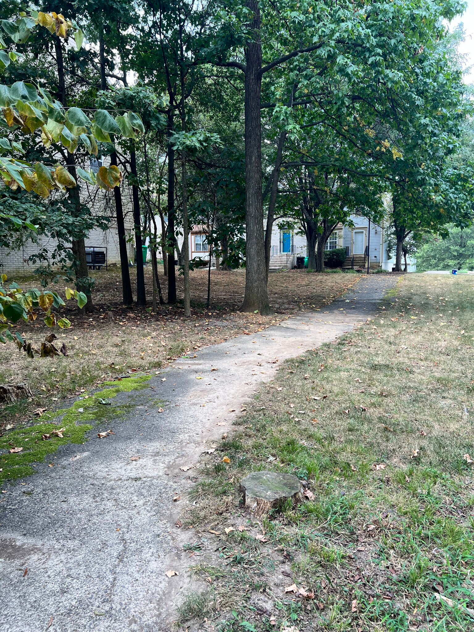Neighborhood Trail to Playgrounds and Park - 3106 Dynasty Dr