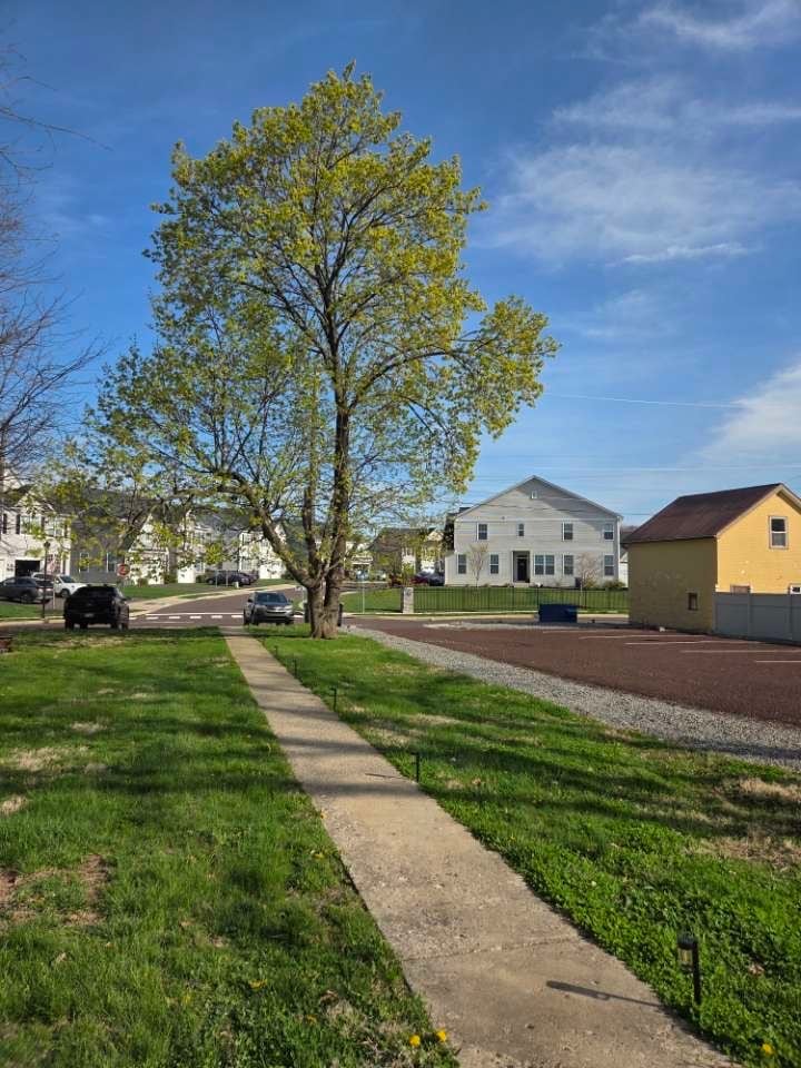 2x dedicated parking spots in rear - 1907 W Point Pike