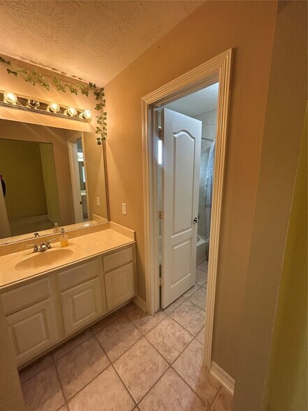 Building Photo - 12519 Aliso Bend Ln