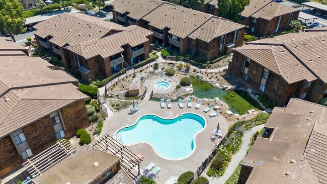 Building Photo - Stunning 1 Bedroom 1 Bath in Dana Point