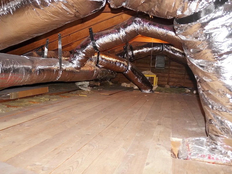 Building Photo - 237 Beechwood Ave